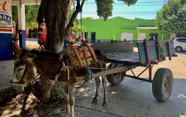 Amistad Costa Rica | Tilaran | Projet en pause pour 2024-2025