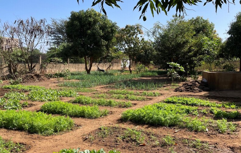 Amistad Sénégal | Petite Côte | 2024-2025